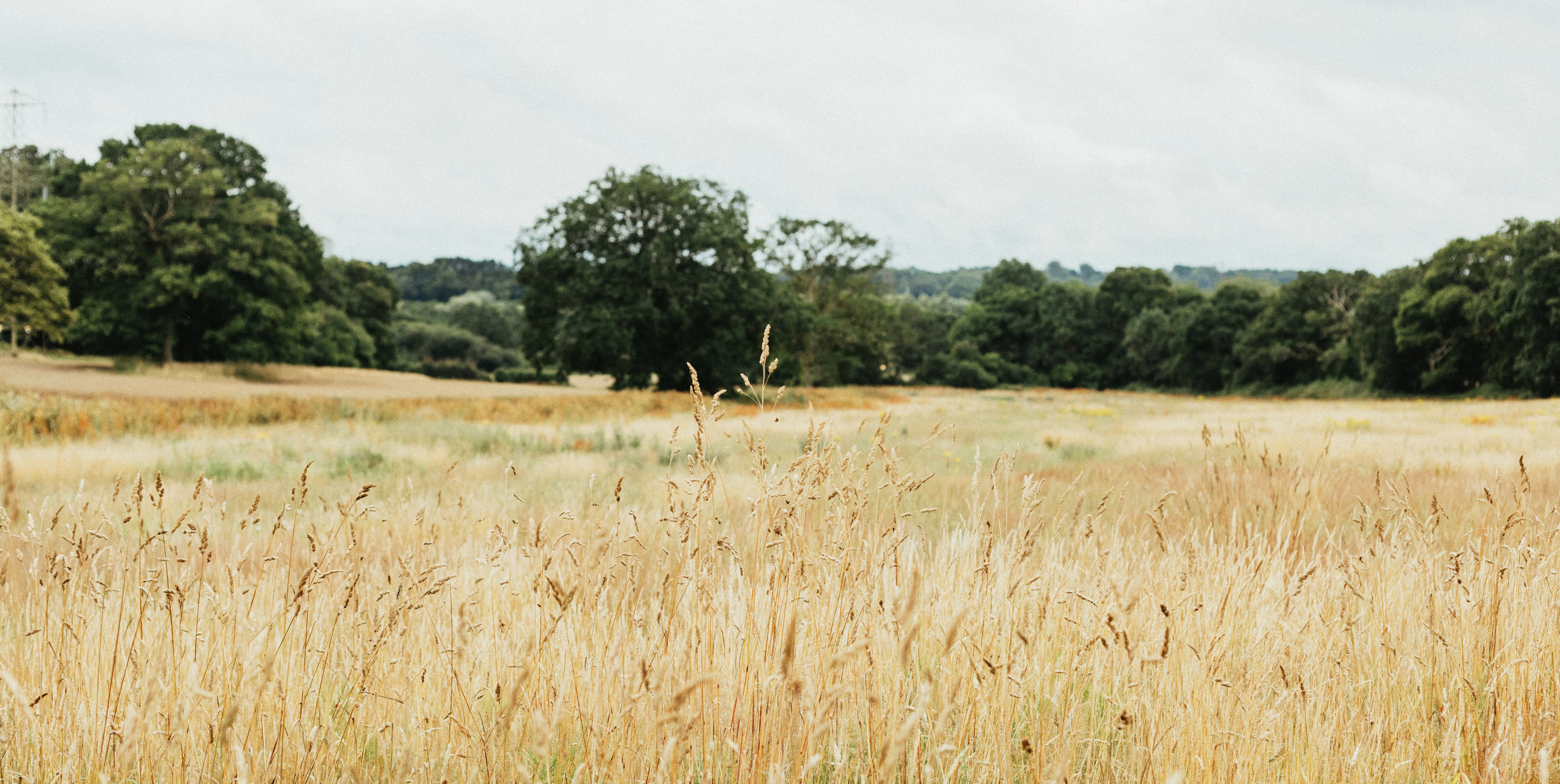 women retreat the creative power of money landscape